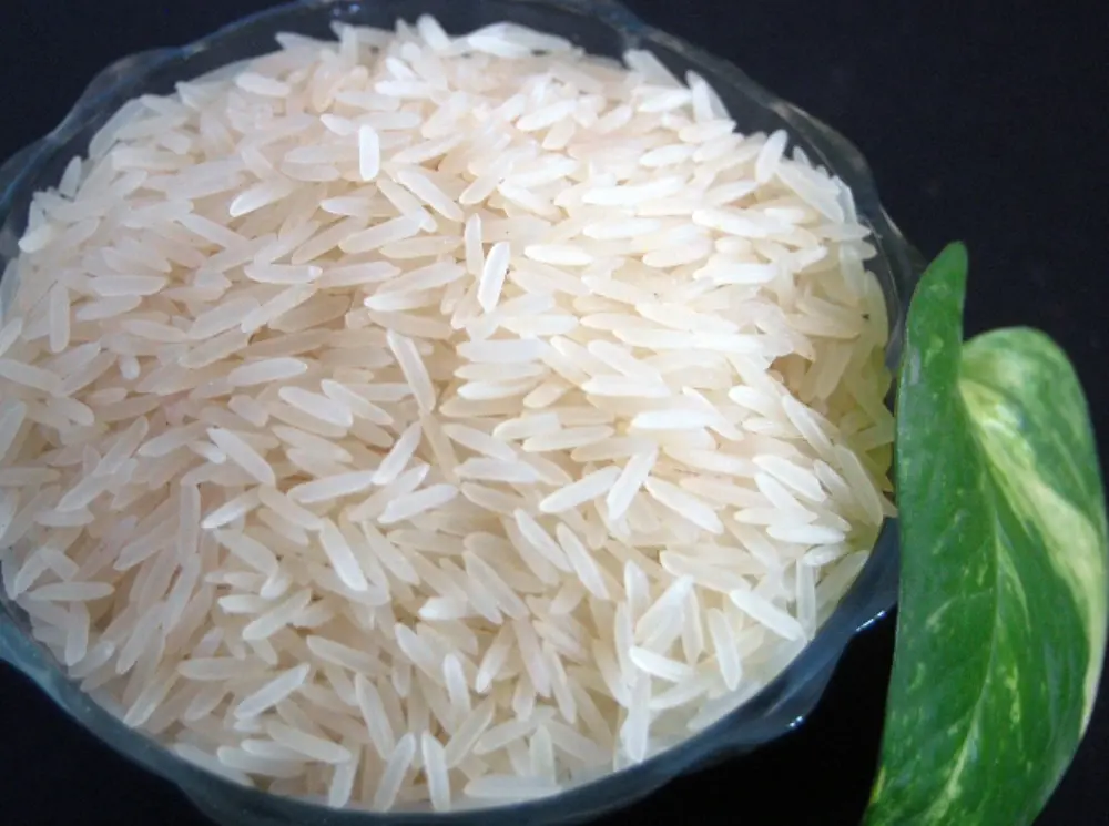 Sugandha Rice